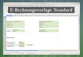 E-Rechnung Vorlage Standard Video